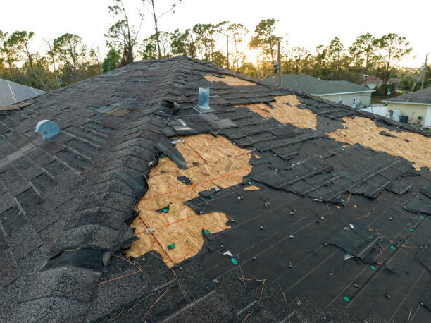 Fast & Reliable Emergency Roof Repairs in Federalsburg, MD